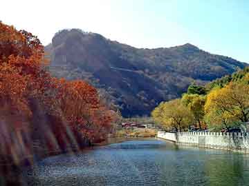 新澳天天开奖资料大全旅游团，魏骏杰滕丽名